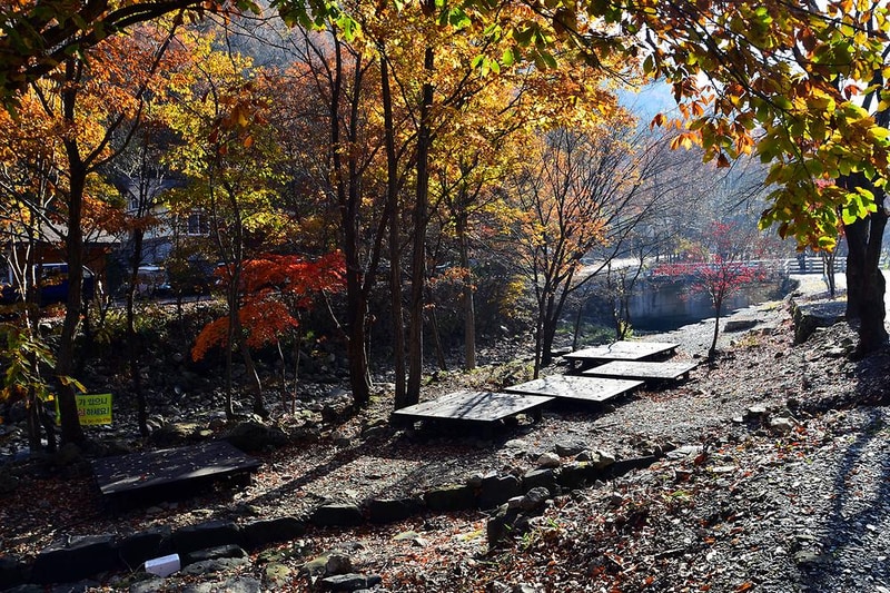 금산산림문화타운 시설 사진 1