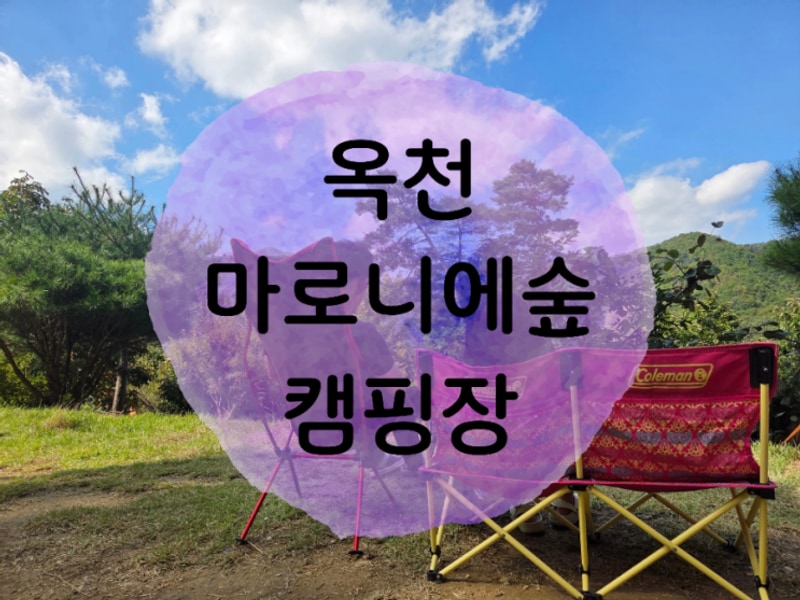 옥천 마로니에숲캠핑장