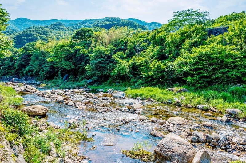 지리산 포레스트 카라반 파크 시설 사진 14