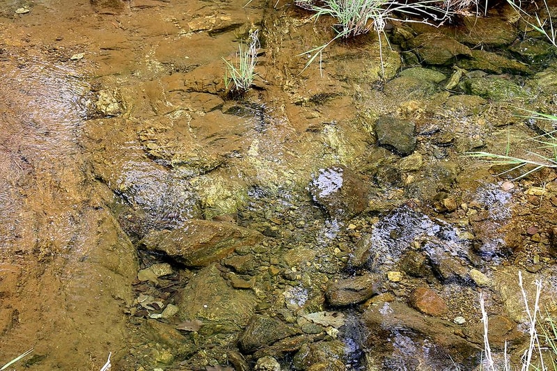 깊이울관광농원(깊이울 캠핑장) 시설 사진 1