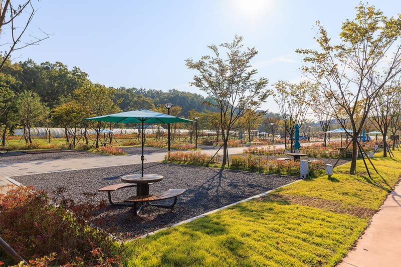 하기숲 가족캠핑장 시설 사진 7