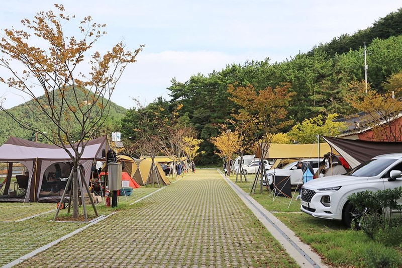 통제영오토캠핑장 시설 사진 11