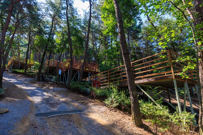 올레유 시설 사진 15