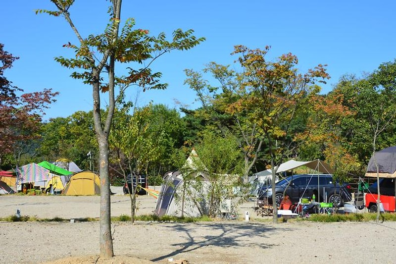 율곡 캠핑장 대표 사진