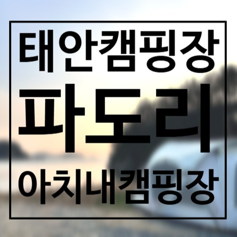 태안 오션뷰 갯벌체험 캠핑장, 서해땅끝파도리아치내캠핑장...