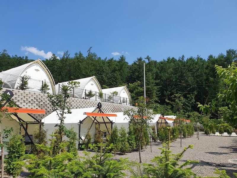 코코숲 바베큐&글램핑 시설 사진 11