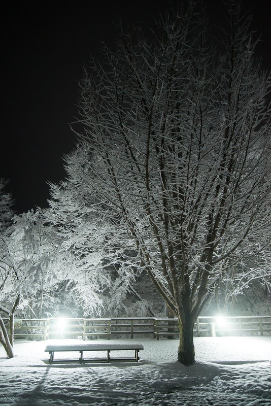 너리굴문화마을 캠핑장 시설 사진 11