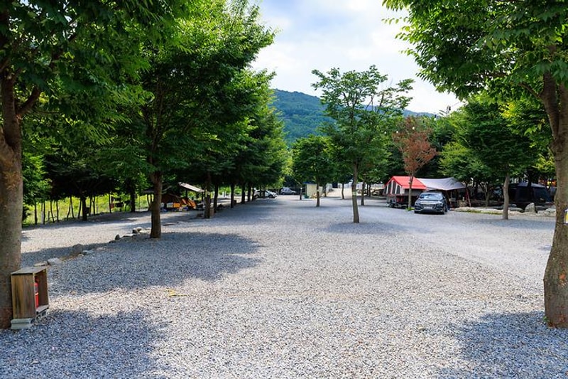 도둑골 신규 대표 사진