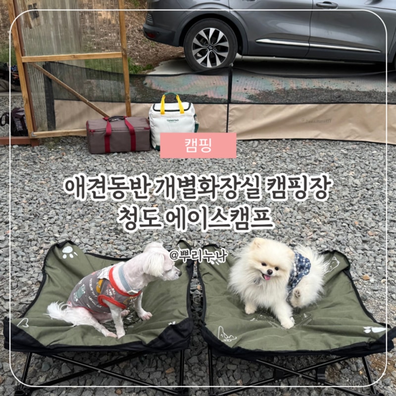 경북 청도 캠핑장 | 에이스캠프 B5 개별화장실 애견동반