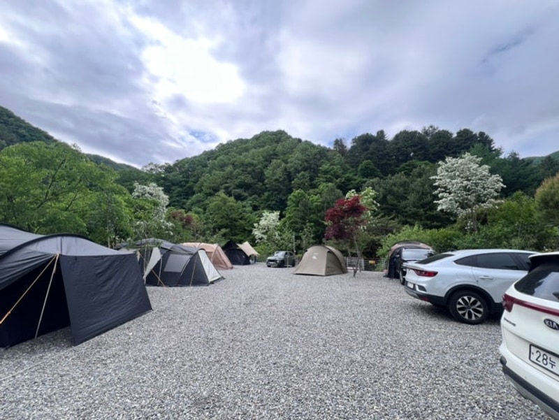 [캠핑]별숲캠핑장/경기도 캠핑장/가평 캠핑장/계곡 캠핑장