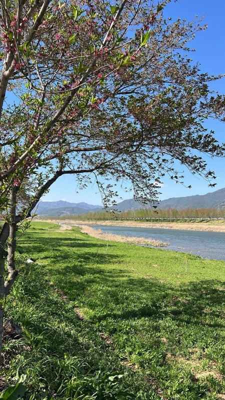 경남 하동평사리공원 오토캠핑장 후기