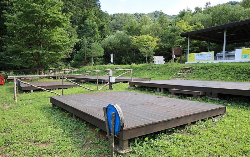 라이프위드도그 시설 사진 3