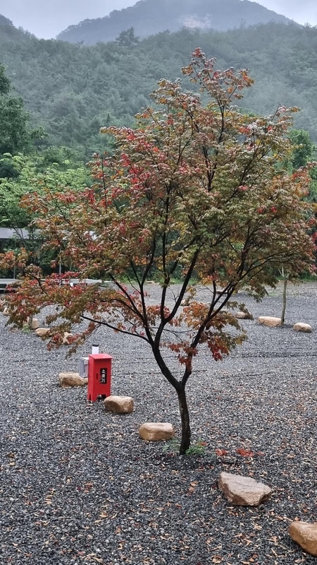 가자우리집 시설 사진 88