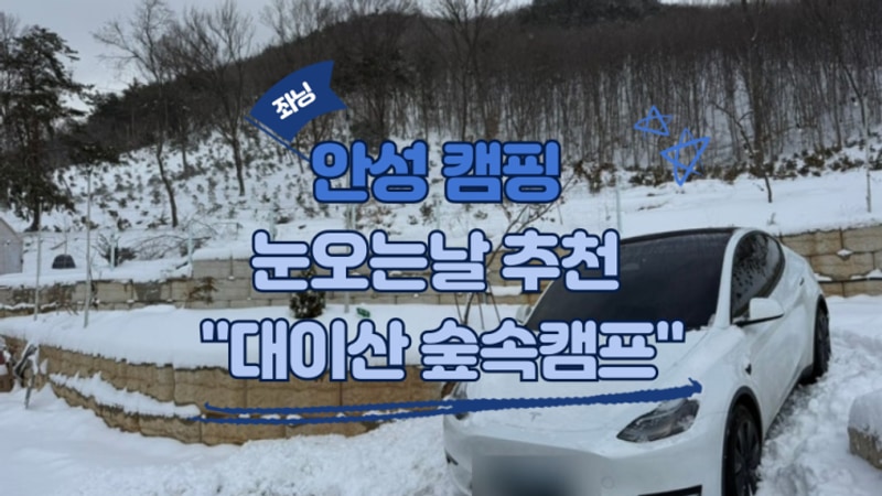 안성 캠핑장 대이산숲속캠프 동계캠핑