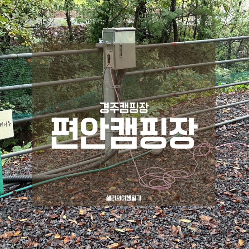 경주애견동반캠핑 편안캠핑장, 참나무존/예약/경주캠핑장