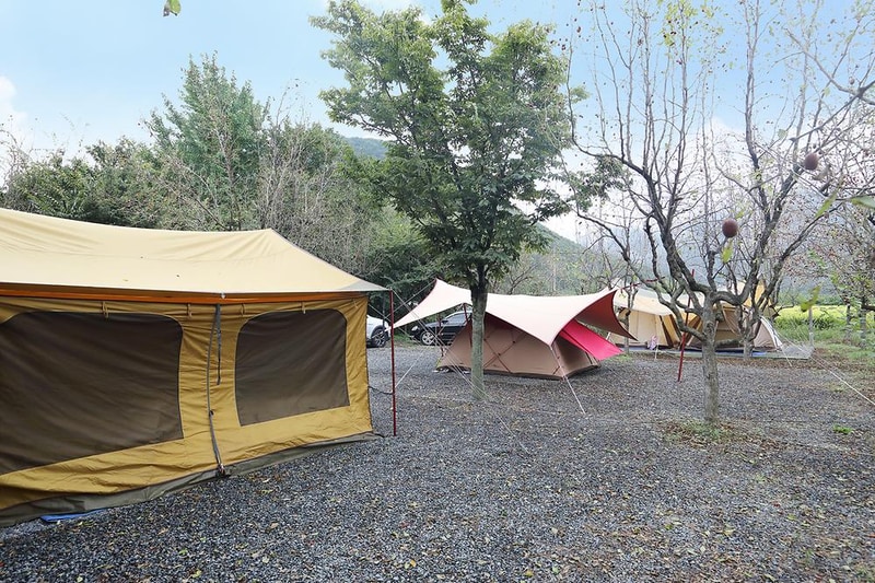 화이트 야영장 시설 사진 6