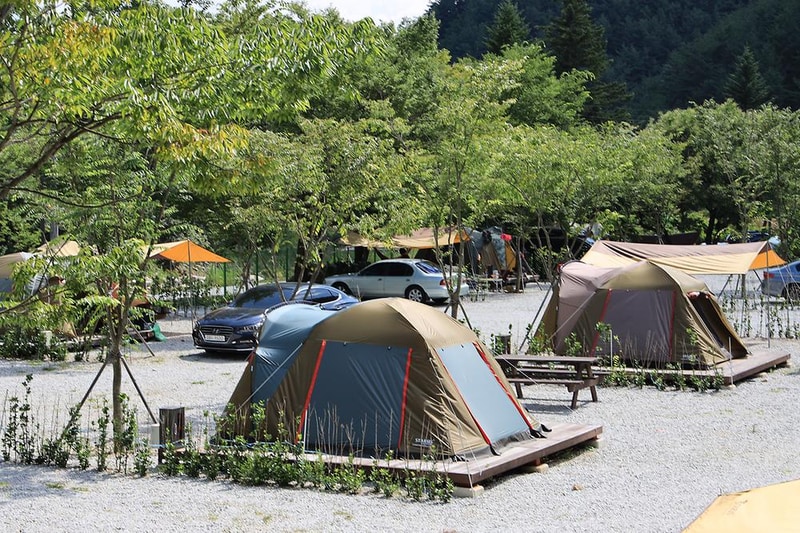 봉화솔향가득서울캠핑장 시설 사진 5