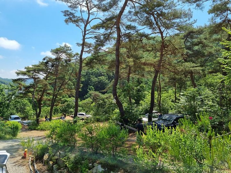 두미리관광농원 대표 사진