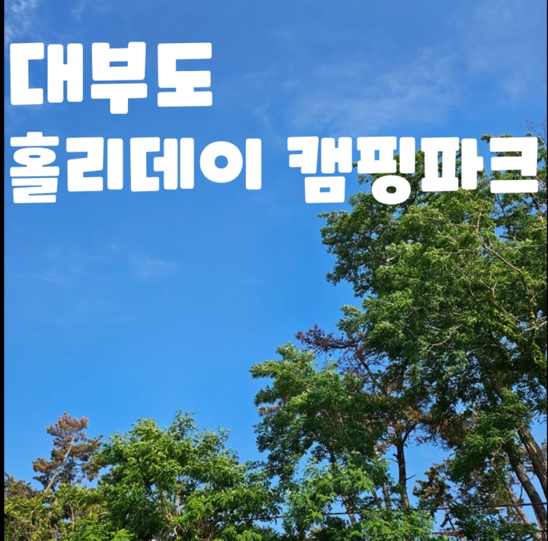 대부도 홀리데이 캠핑파크 당일 캠프닉(1부/자리추천/준비물...