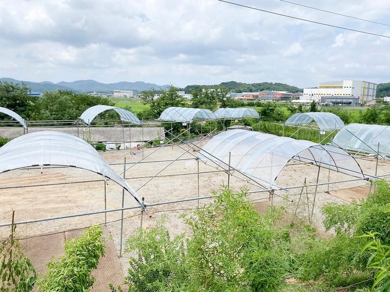 포도길 캠핑장 시설 사진 1