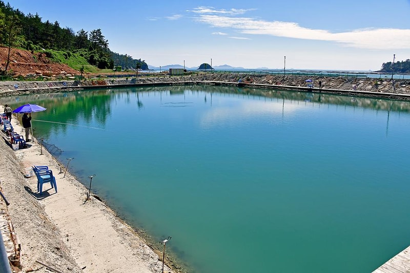 땅끝바다낚시터&글램핑 시설 사진 8