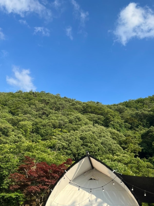 전남 계곡 글램핑 담양 거목글램핑