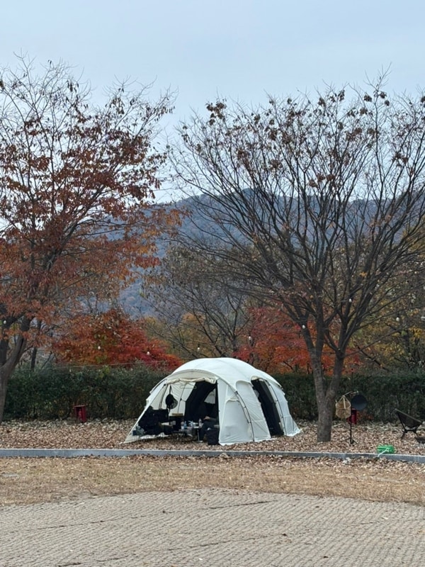 [기록]동두천에코유캠핑장(11/8-9) 가을날씨최고