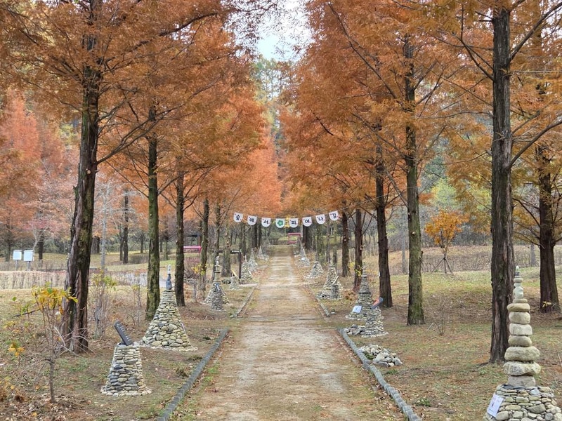성불산자연휴양림 숲속캠핑장 시설 사진 4