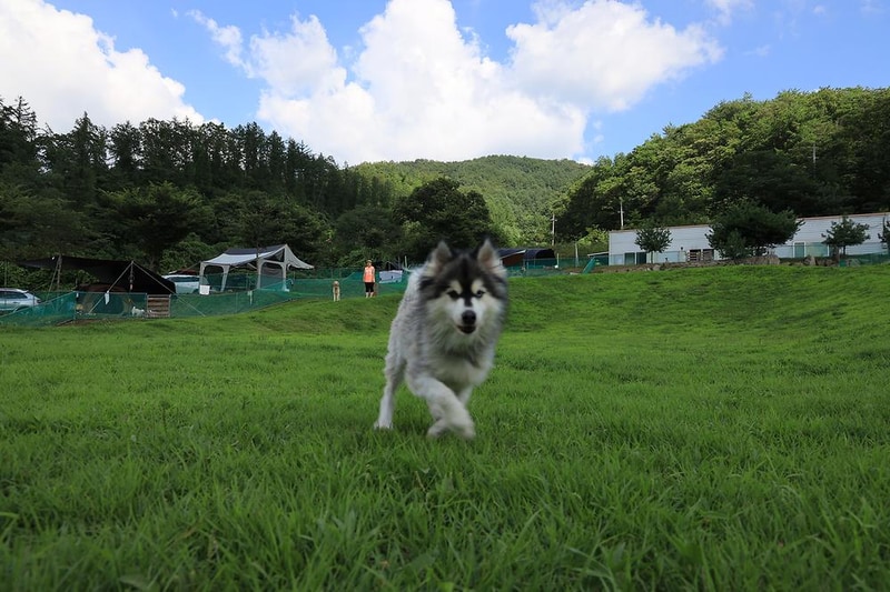 개똥이네캠핑장 시설 사진 4