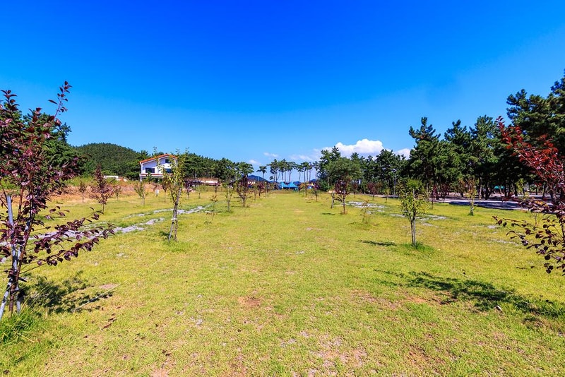 어은돌오토캠핑장 시설 사진 9