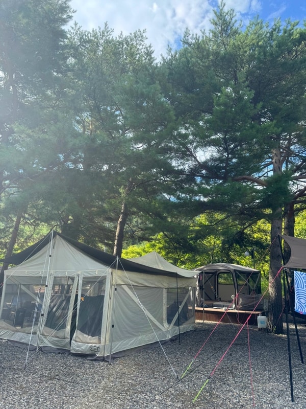 강원도 삼척 내평계곡 캠핑장 추천, 삼척 엘림캠핑장 내돈내산...