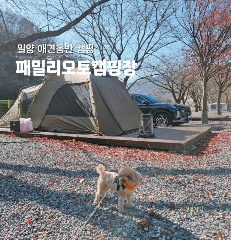 밀양 애견동반 캠핑  패밀리오토캠핑장 후기 및 추천 사이트