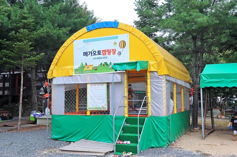 핫도그342애견글램핑카라반 주식회사 시설 사진 5