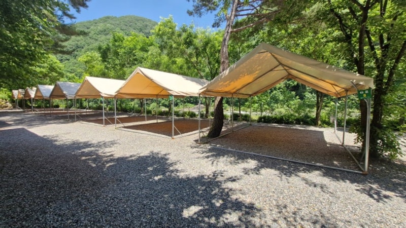 영월 조용한 정원캠핑장 타프존 계곡 명당자리 답사 애견동반...