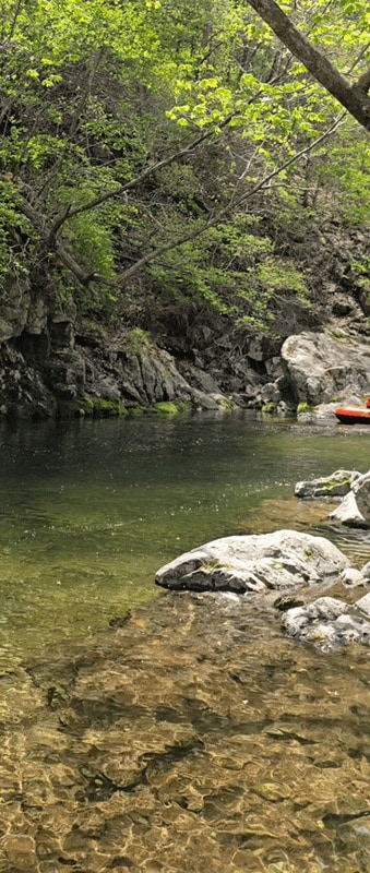 평창 흥정계곡 자연속 쉼표 캠핑장  내돈내산 : 올챙이가...
