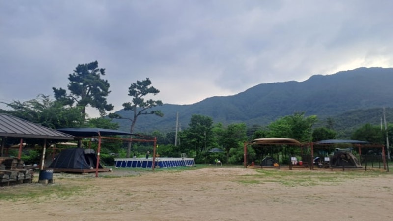 경기 포천 자연마을 서울캠핑장(25.07.05~06)