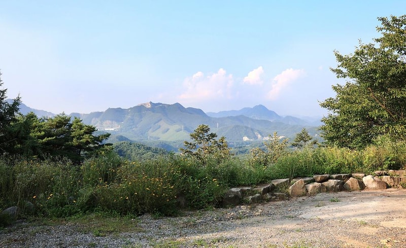 꼬꼬토피아 캠핑 시설 사진 13