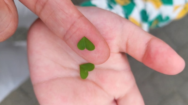 밀양댐스쿨 캠핑장 2박 3일 후기｜비 내리는 숲속 가족 캠핑