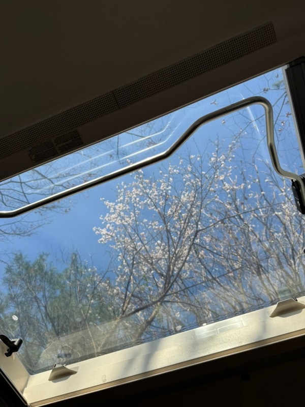 포천 캠핑장 키즈캠핑장 레이크문 캠핑장 카라반 후기