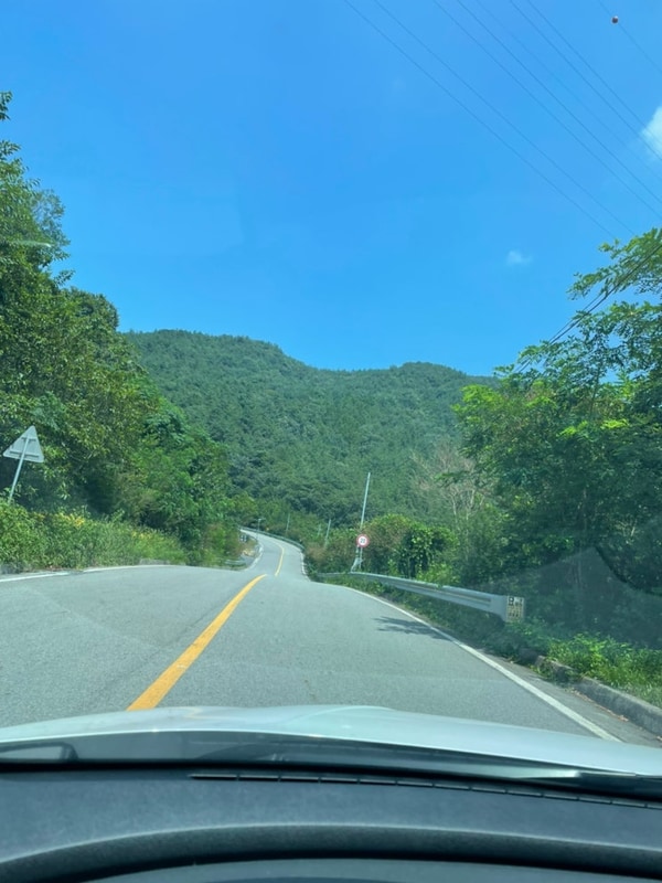 - 1 / 순천 상사호 오토캠핑장 / 혼자 여름 캠핑