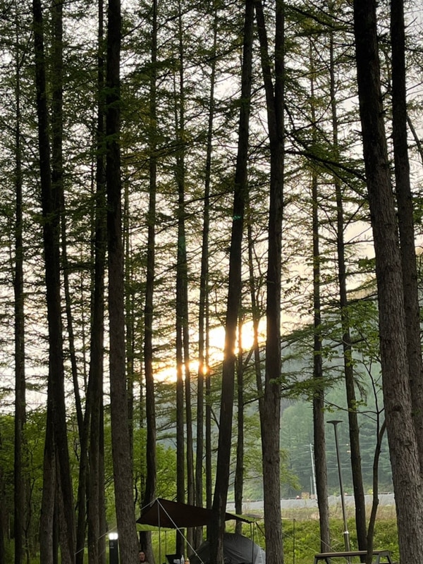 깨끗한 캠핑장 추천 평창국민여가캠핑장