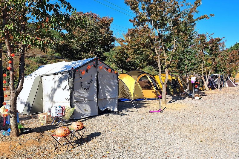 고성 장좌리 캠핑장 시설 사진 16