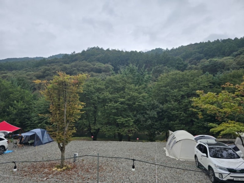 [제천캠핑장] 라라랜드 제천점 (feat. 리솜리조트 사우나)