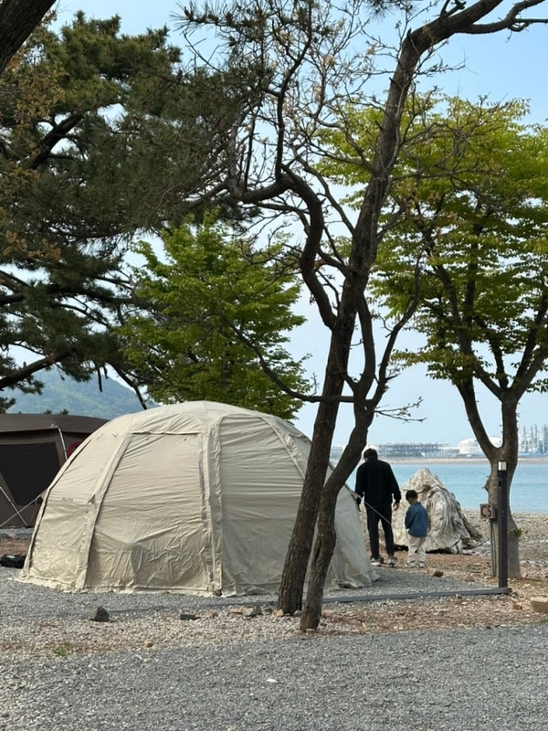 서산 벌천포 캠핑장 서해 캠핑 오션뷰 글램핑 애견동반...