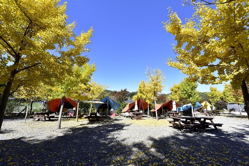 이우캠핑장 시설 사진 2