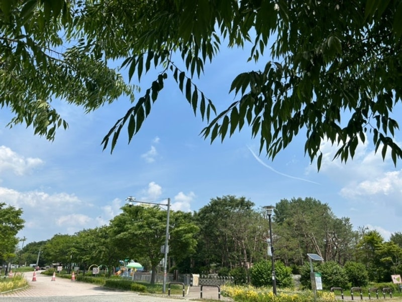 6월 여름 캠핑 평택소풍정원 캠핑장(경기도 지자체 캠핑장 추천...