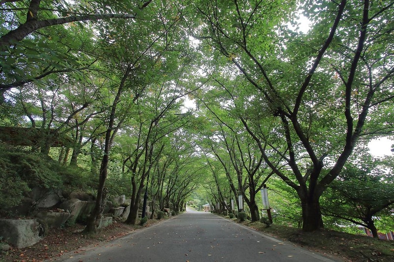 팔공산 국립공원 가산산성 야영장 시설 사진 15