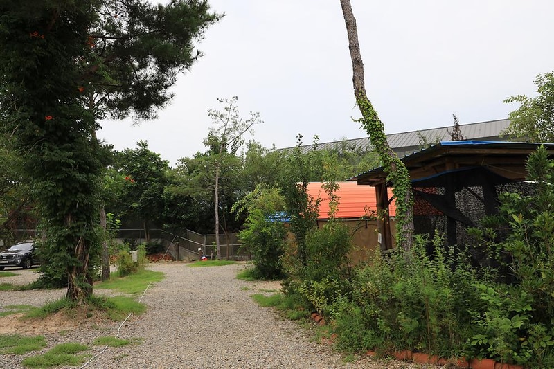 용천수캠핑장 시설 사진 21