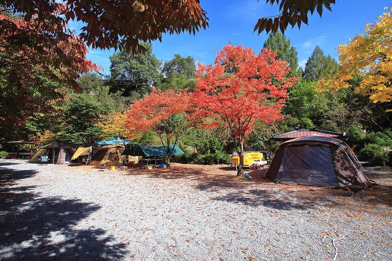 솔티야영장 시설 사진 11