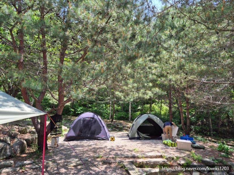 27번째 캠핑) 6월6일~6월8일 평창삼남매와뭉치네 캠핑장...